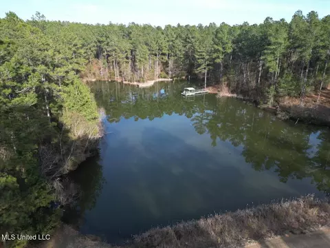 2015 Forest Rd, Hazlehurst, MS 39083 photo 8