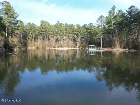 2015 Forest Rd, Hazlehurst, MS 39083 photo 11