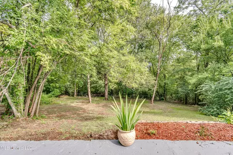 Exterior - 667 Queen Cir, Jackson, MS 39209 photo 6 of 6