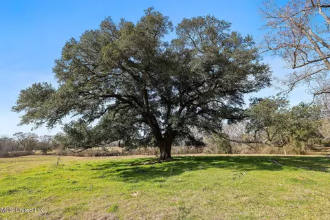 255 J P Thomas Rd, Amite, LA 70422