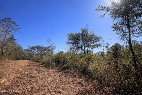 5 Standard Cemetery Rd, Kiln, MS 39556