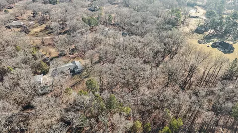 View/Area - 809 Green Acres Dr, Hernando, MS 38632 photo 5 of 7