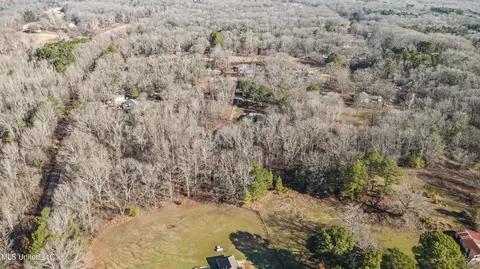 View/Area - 809 Green Acres Dr, Hernando, MS 38632 photo 3 of 7