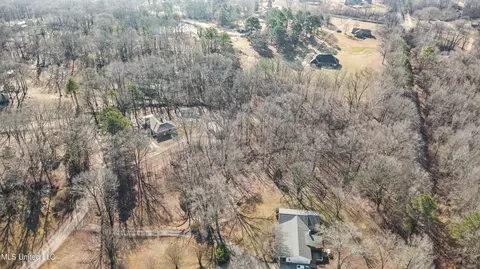 View/Area - 809 Green Acres Dr, Hernando, MS 38632 photo 4 of 7