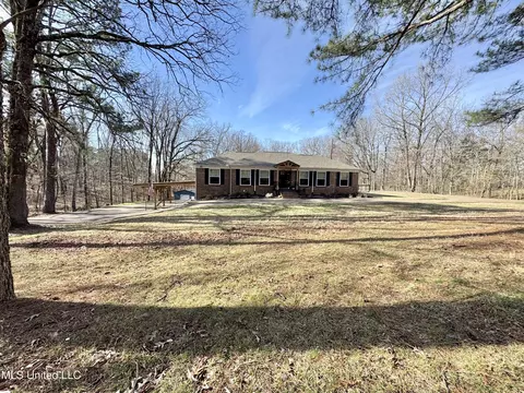 Exterior - 809 Green Acres Dr, Hernando, MS 38632 photo 10 of 22