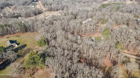 View/Area - 809 Green Acres Dr, Hernando, MS 38632 photo 6 of 7