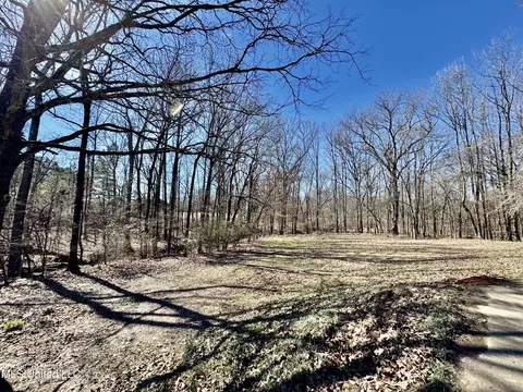 Other - 809 Green Acres Dr, Hernando, MS 38632 photo 17 of 19