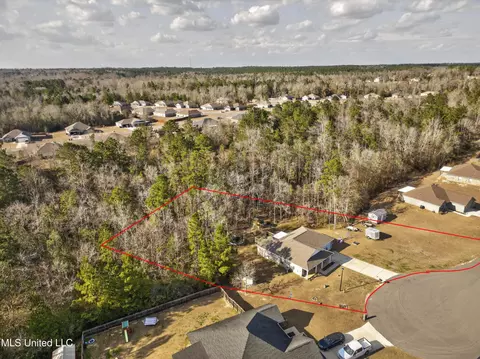 View/Area - 46 Cascade Cv, Perkinston, MS 39573 photo 5 of 5