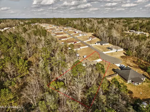 View/Area - 46 Cascade Cv, Perkinston, MS 39573 photo 4 of 5