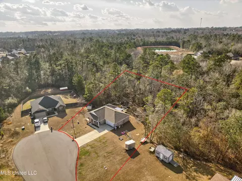 View/Area - 46 Cascade Cv, Perkinston, MS 39573 photo 2 of 5