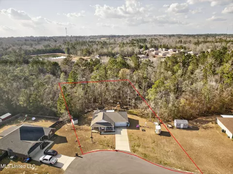 View/Area - 46 Cascade Cv, Perkinston, MS 39573 photo 1 of 5