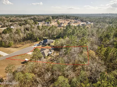 View/Area - 46 Cascade Cv, Perkinston, MS 39573 photo 3 of 5
