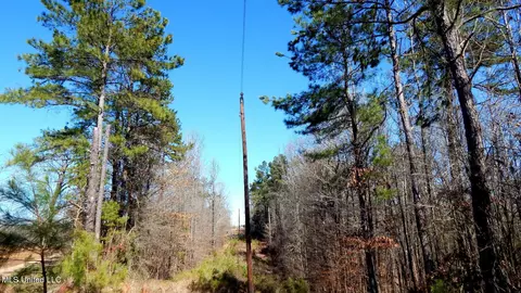 9815 Choctaw Landing Rd, Coffeeville, MS 38922