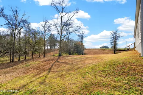 14 Elmer Smith Rd, Lumberton, MS 39455 photo 66