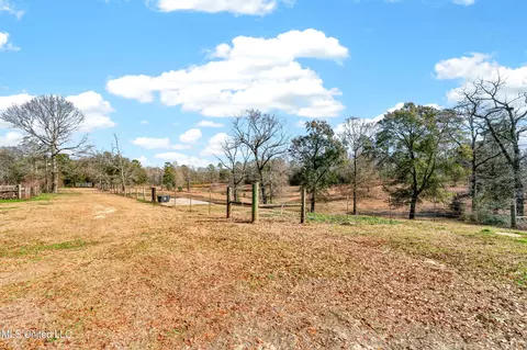 14 Elmer Smith Rd, Lumberton, MS 39455 photo 67
