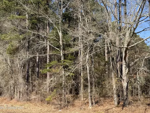 Ms-16, Camden, MS 39045