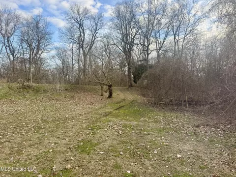 75 Desoto Lake Rd, Alligator, MS 38720