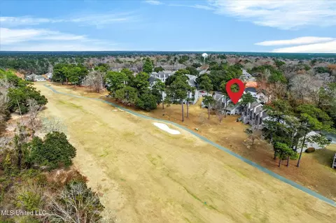 View/Area - 223 Highpoint Dr, Diamondhead, MS 39525 photo 3 of 7