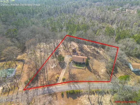 View/Area - 123 Carl Taylor Rd, Wiggins, MS 39577 photo 1 of 1