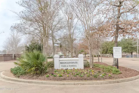 Other - 263 Lighthouse Ln, Brandon, MS 39047 photo 6 of 8