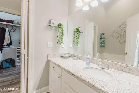 Bath - 263 Lighthouse Ln, Brandon, MS 39047 photo 2 of 2