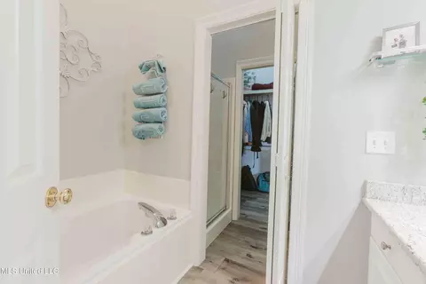 Bath - 263 Lighthouse Ln, Brandon, MS 39047 photo 1 of 2