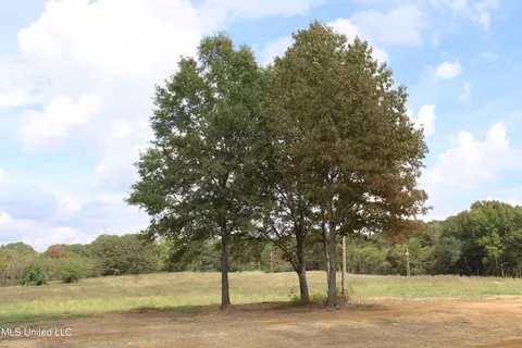5077 Old Barn Cv, Hernando, MS 38632 photo 6