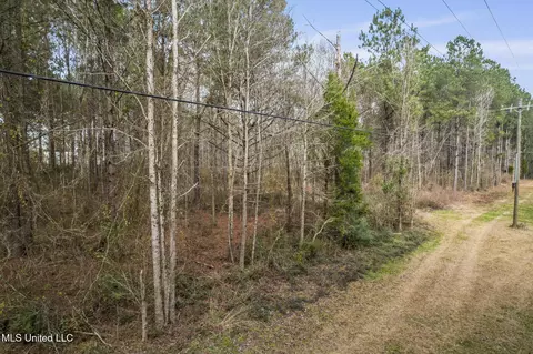 2008 Johnston Station Rd, Summit, MS 39666 photo 6