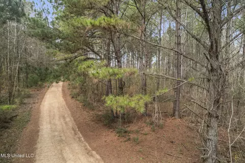 2008 Johnston Station Rd, Summit, MS 39666 photo 7