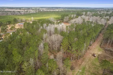 2008 Johnston Station Rd, Summit, MS 39666 photo 2