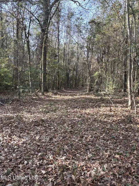 lot2 Whiddon Rd, Canton, MS 39046 photo 17