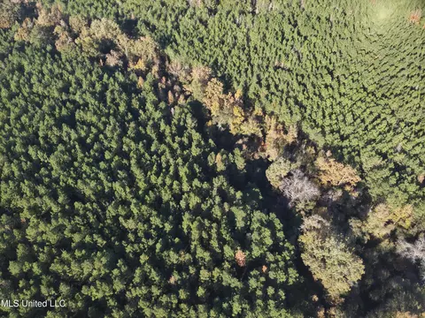 lot2 Whiddon Rd, Canton, MS 39046 photo 39
