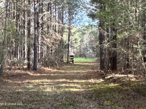lot2 Whiddon Rd, Canton, MS 39046 photo 28
