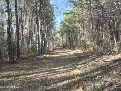 lot2 Whiddon Rd, Canton, MS 39046 photo 30