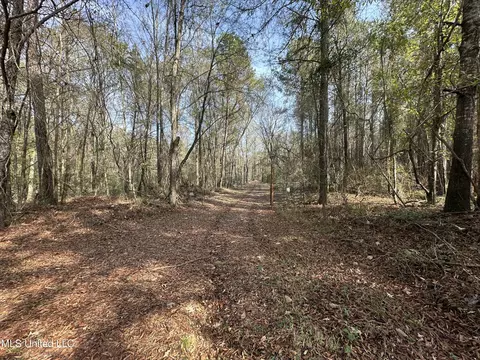 lot2 Whiddon Rd, Canton, MS 39046 photo 6