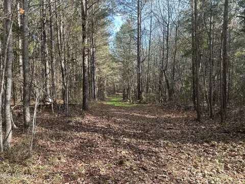 lot2 Whiddon Rd, Canton, MS 39046 photo 8