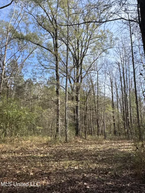 lot2 Whiddon Rd, Canton, MS 39046 photo 15