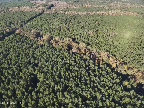 lot2 Whiddon Rd, Canton, MS 39046 photo 38