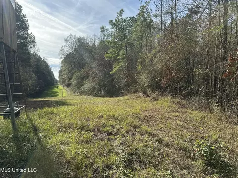 lot2 Whiddon Rd, Canton, MS 39046 photo 10
