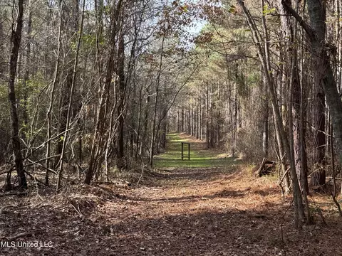 lot2 Whiddon Rd, Canton, MS 39046 photo 21