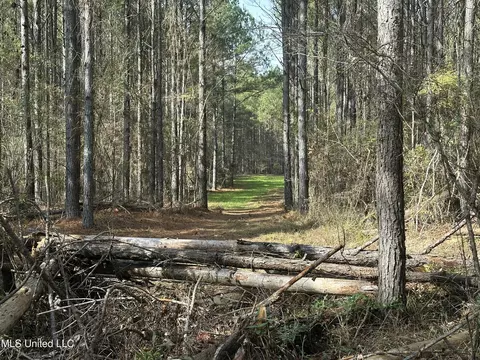 lot2 Whiddon Rd, Canton, MS 39046 photo 23
