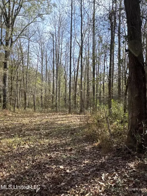 lot2 Whiddon Rd, Canton, MS 39046 photo 16
