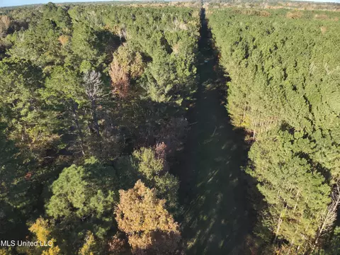 lot2 Whiddon Rd, Canton, MS 39046 photo 34