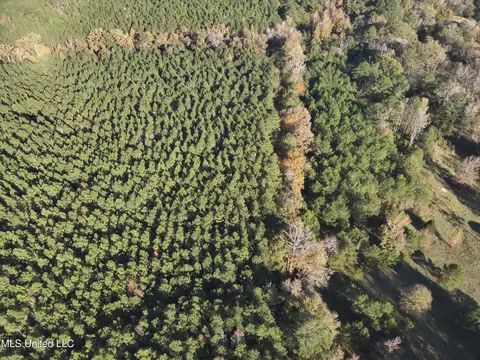 lot2 Whiddon Rd, Canton, MS 39046 photo 37
