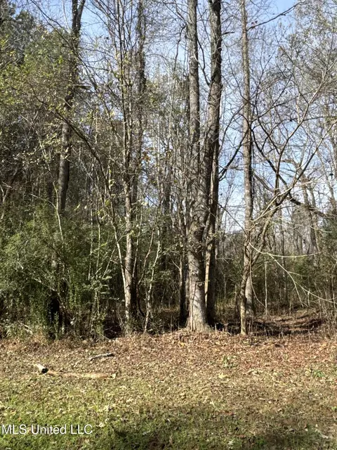 lot2 Whiddon Rd, Canton, MS 39046 photo 11