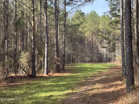 lot2 Whiddon Rd, Canton, MS 39046 photo 25