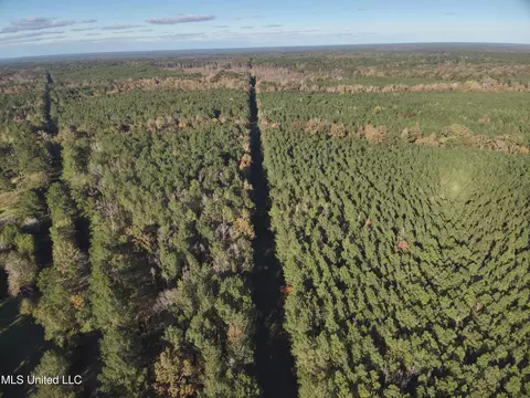 lot2 Whiddon Rd, Canton, MS 39046 photo 35