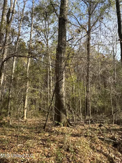lot2 Whiddon Rd, Canton, MS 39046 photo 13