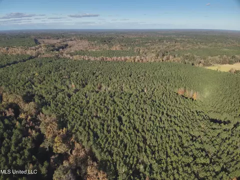 lot2 Whiddon Rd, Canton, MS 39046 photo 40
