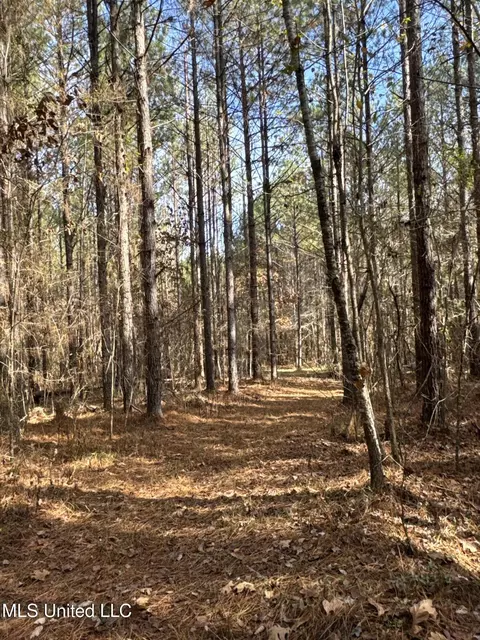 lot2 Whiddon Rd, Canton, MS 39046 photo 14